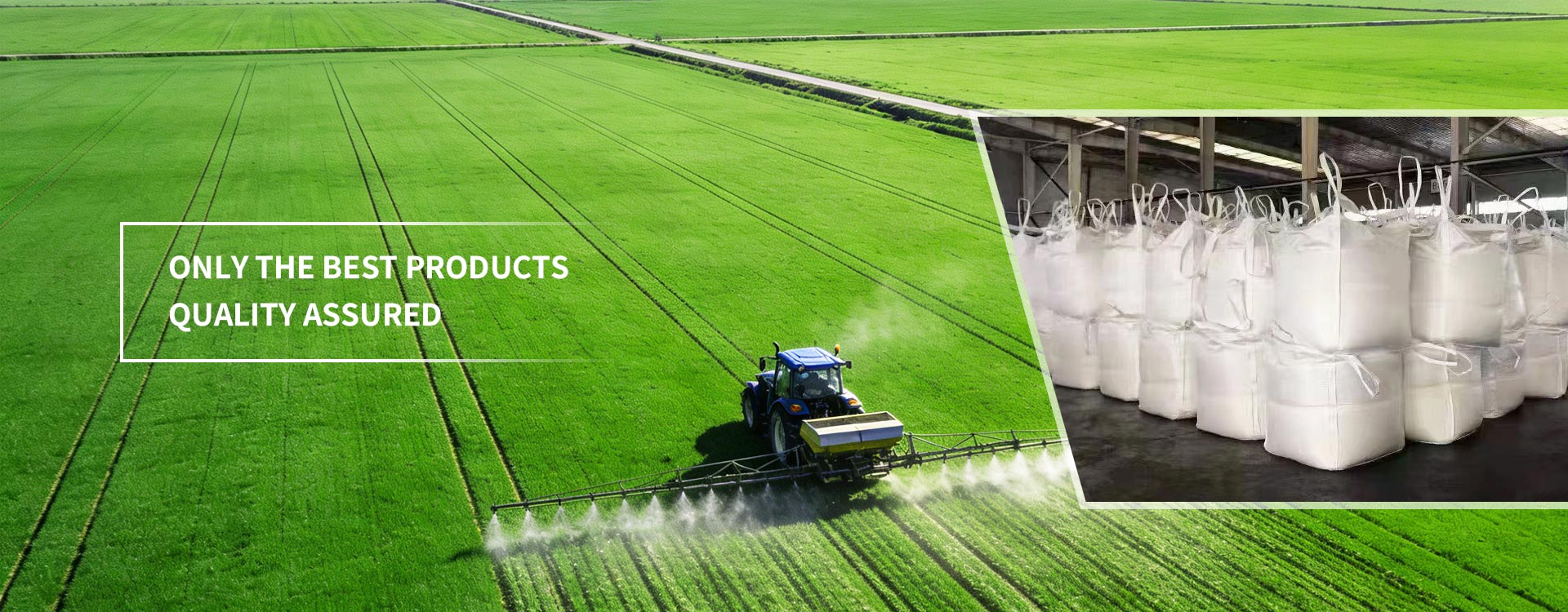 Jakość gwarantowana tylko najlepsze produkty